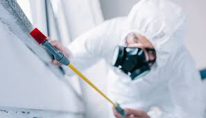 Best Pest Exclusion Services  in Lansdowne, VA